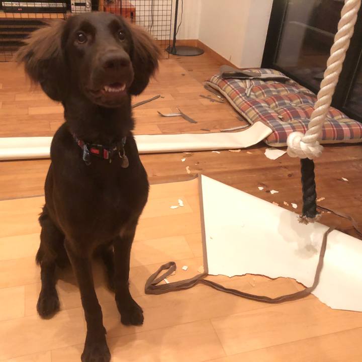 8eeafce0 1470 48ef 99b4 1fe469983569 1562794454352