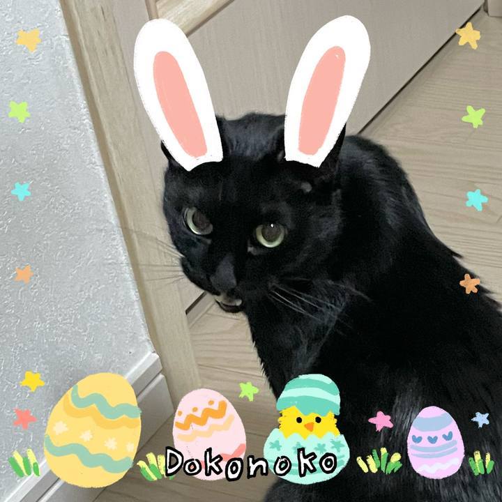 8eeb2993 05e7 4a5d 9e98 0e3f299bb75b 1712375822705