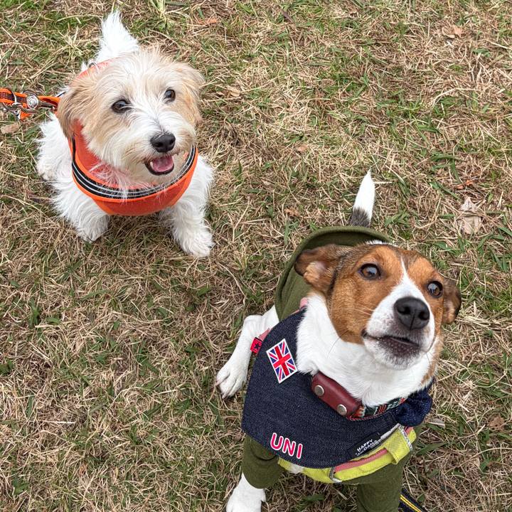 8eeb341b 4476 4284 a46a 50e6e21a54d3 1763903498068