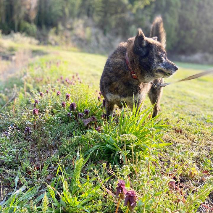 8eeb34aa a8bb 445e 98db 5343fcac86bd 1586905219333