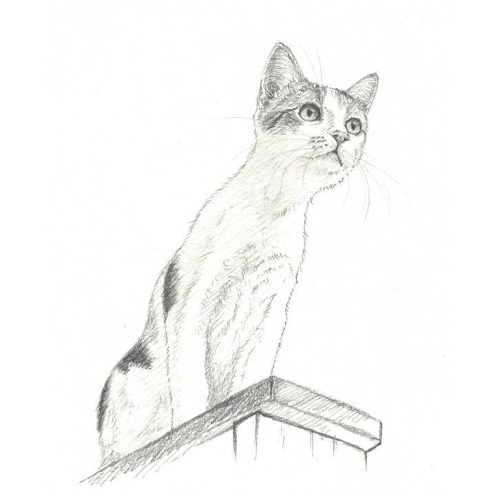 8eeb4ea1 5d56 4edb 93c8 995a5aee1e5a 1559830247729