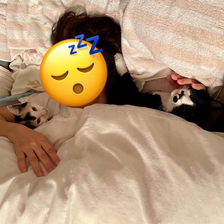 8eebd443 08c3 44b3 8208 bbd9687cbde2 1676022743522