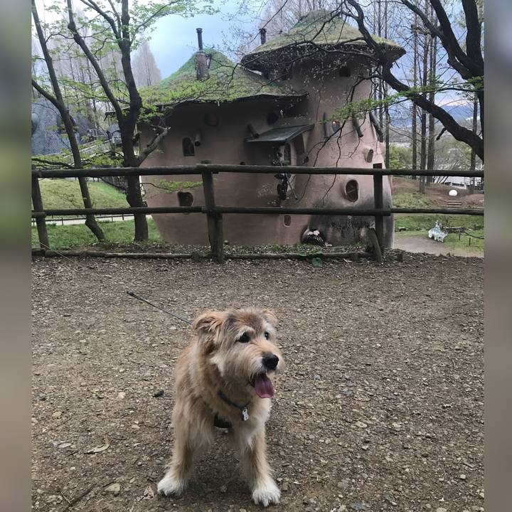 8eebda0b 7853 4b4b ad1b 16a4d3c77db5 1680599607812