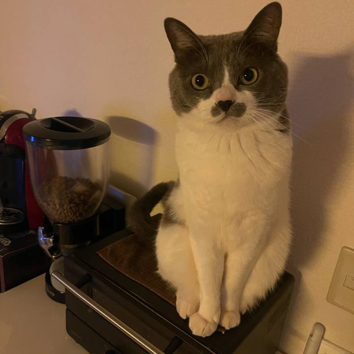 8eebdefe 79fe 48ba 8cb4 d5907f064874 1736637862216