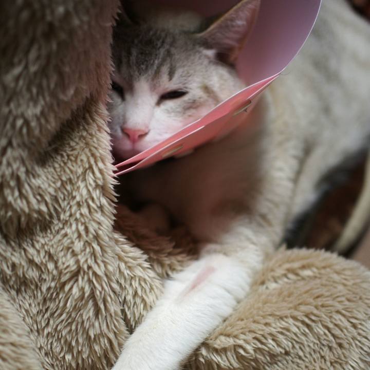 8eec1c90 e7f9 40be a9d5 aeda59a70776 1518952129699