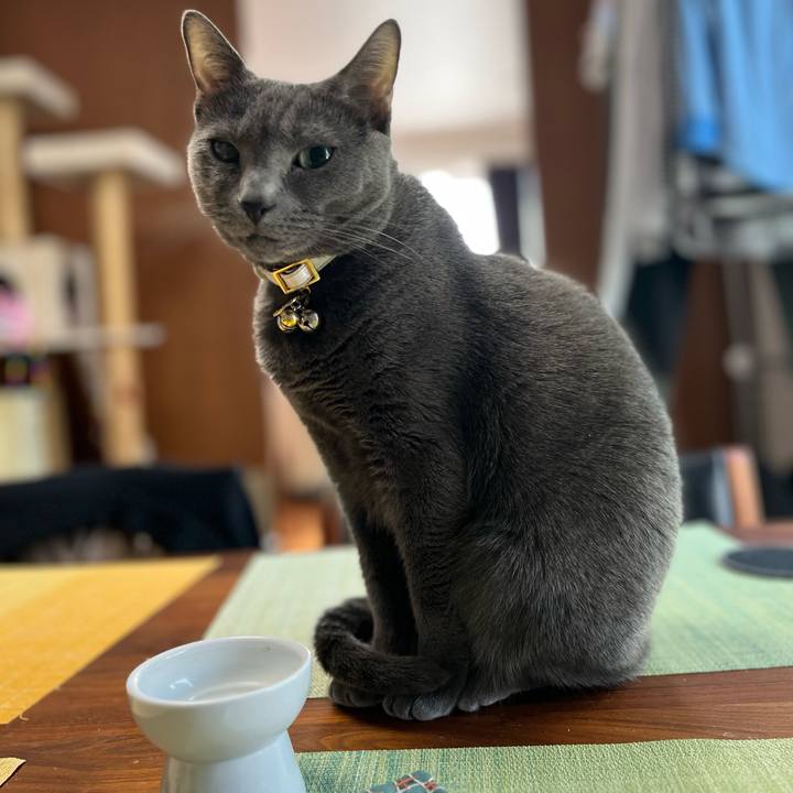 8eec1cdf a429 4adc 8fbf 227a9b5687df 1682552089145