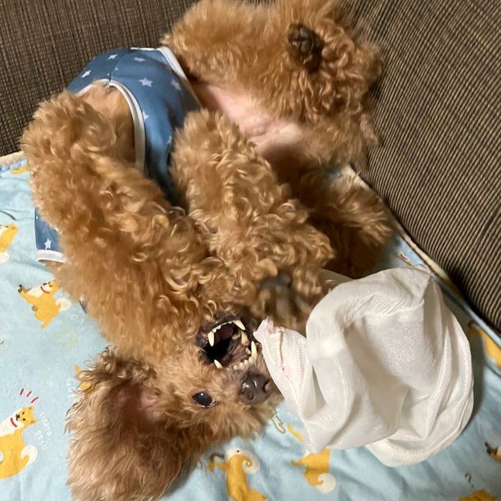 8eec3058 52be 4c88 9b86 9d5b449598d1 1703063663662