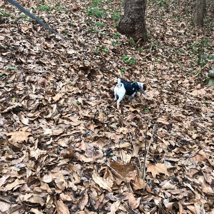 8eec661c da71 47e7 b82e b76269044375 1548761495954