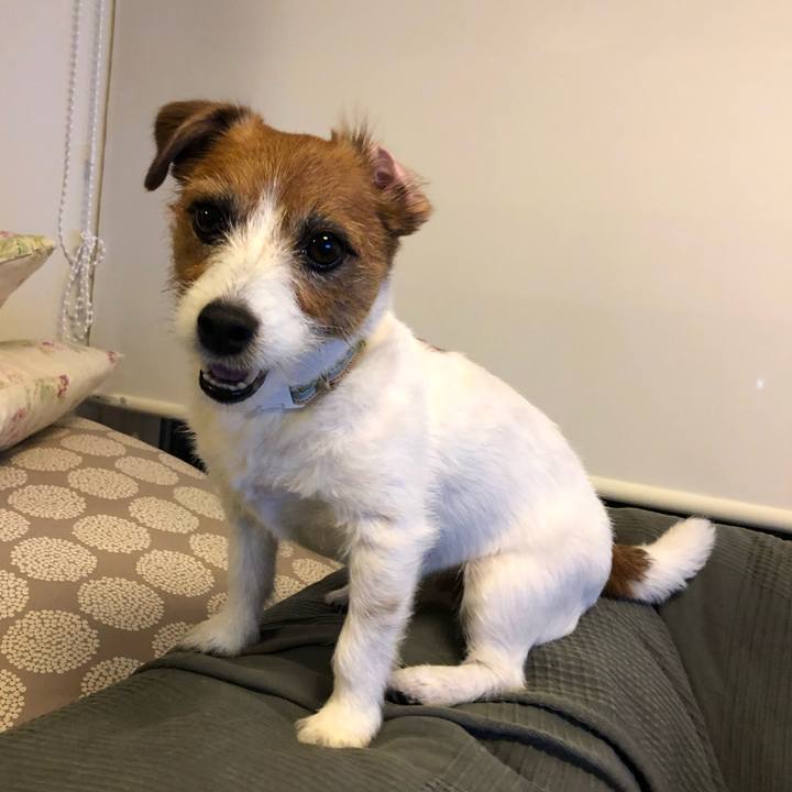 8eec72b0 5dbd 4e97 8392 e6c6152a0ede 1590848068586