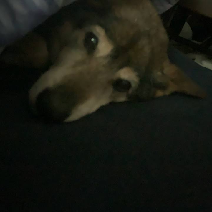 8eec7d3f e079 43dc a711 3c7c5f9c948d 1576794100620