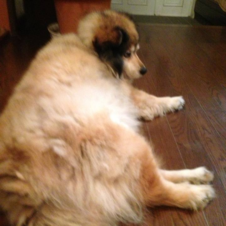 8eec82e1 3667 4b92 b7d5 3db6c9697a55 1613696415252