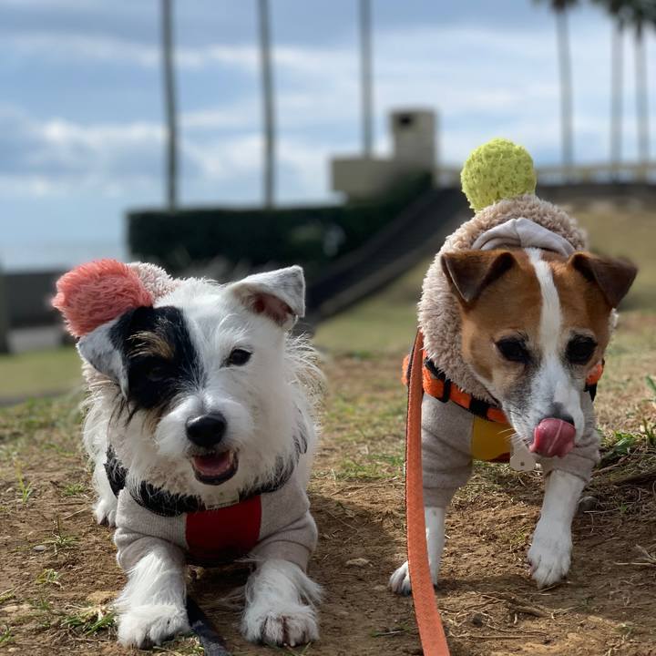 8eec92ba 3087 4489 80c0 fc6c028f1bd7 1604715400475