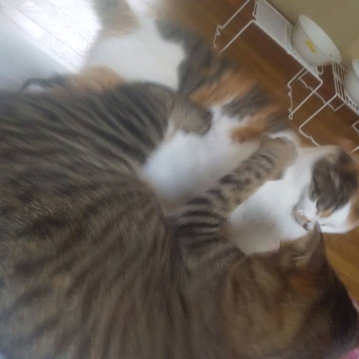 8eeca771 0d93 4fb4 a586 1ff00e681c34 1757302958050