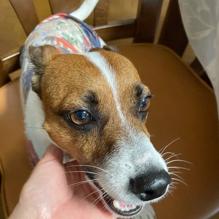 8eecc31d cc5b 466a a2b6 d0e5ca25fecf 1634004178578