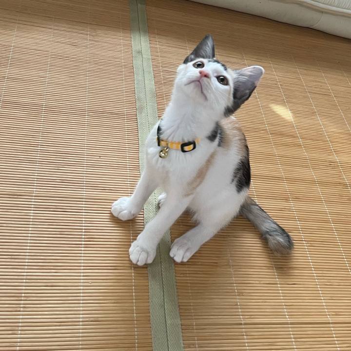 8eecea62 4064 4649 8580 ba1f8b9c1926 1659615132829