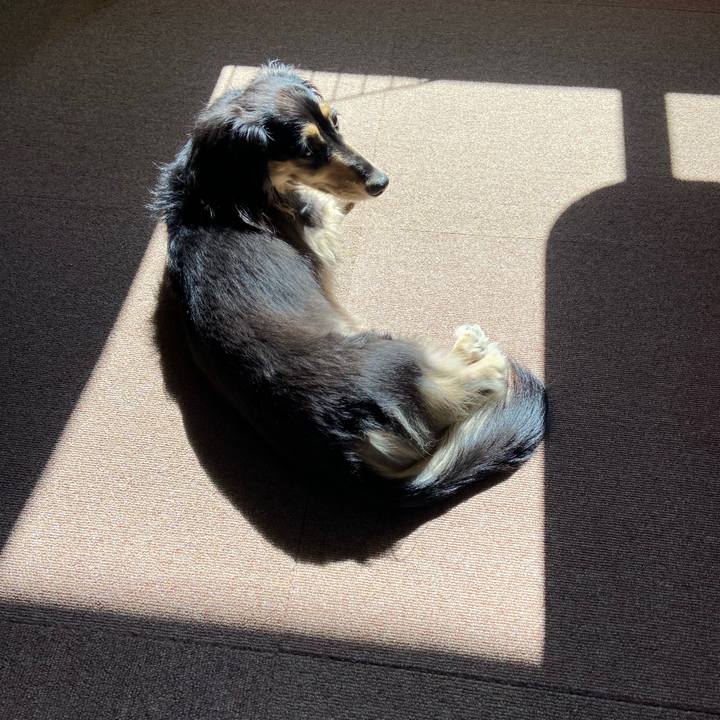 8eecec0f decb 4358 91d7 9845b985bc86 1750115210021