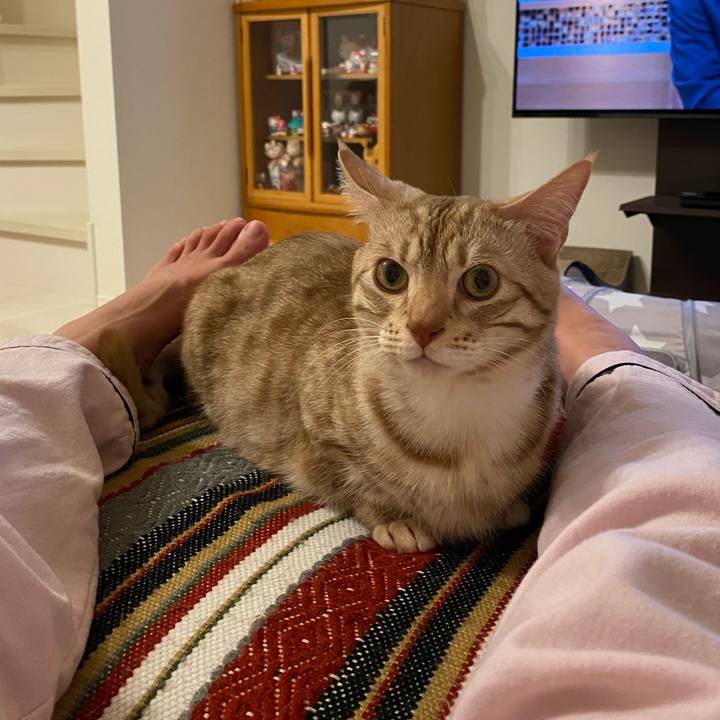 8eecf5aa df40 47b1 90e9 5b3fcf000d0e 1645710874070