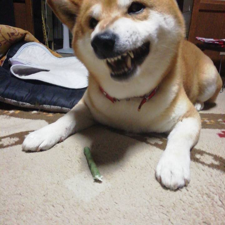 8eecfccb 50ab 4fe1 bbda 295881a63e2c 1598580006641