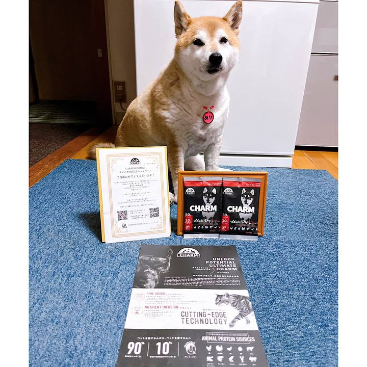 8eed038a b086 4be6 969b a31f437b5237 1715857164736