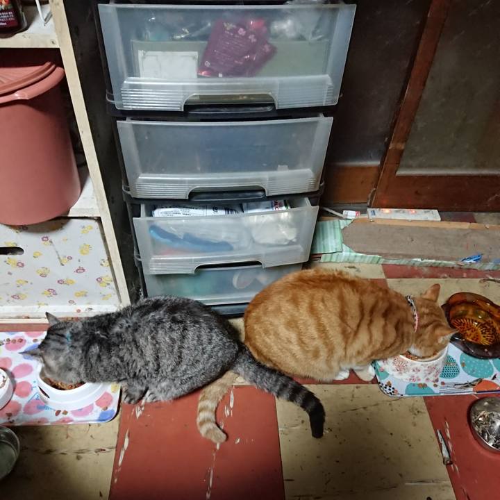 8eed0cb5 d232 453b ae32 c404ac85c082 1573070494822