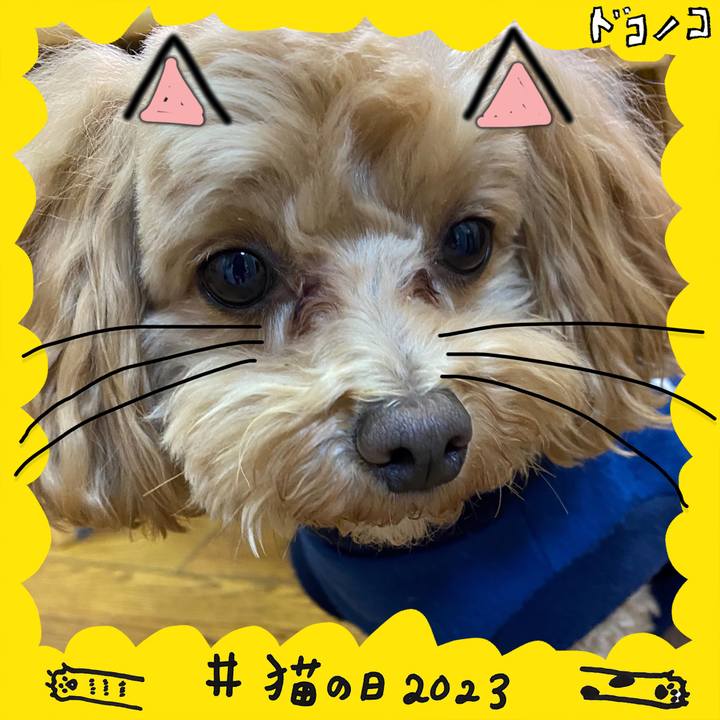 8eed1d4d 3ad8 4650 b3f3 cf28c9fd0745 1677031885475