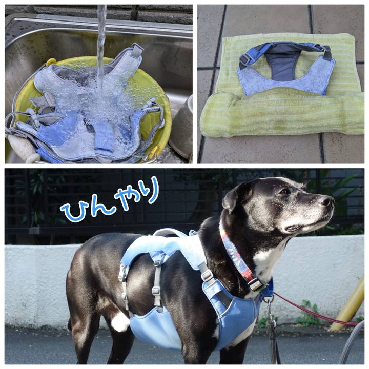 8eed36ff cadc 427e 8934 f0a42464c7f7 1720139501489