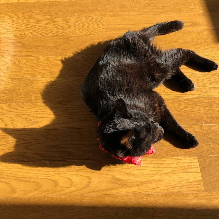 8eedbc1c 6bf6 4c77 ab89 56387a9a08de 1555712985323