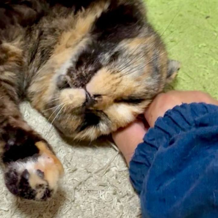 8eedbe60 fac9 4889 a94e a90c9c77ddc5 1749728691815