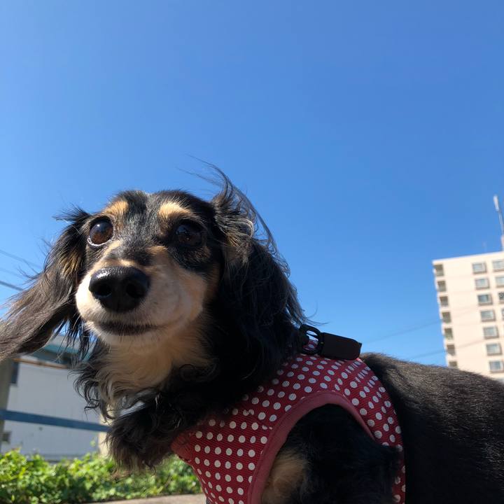 8eedddc5 2256 46a5 a026 bdbfc5367421 1568601116094