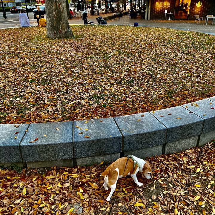 8eee018c 52d8 443e be00 d70046045af6 1668514934057