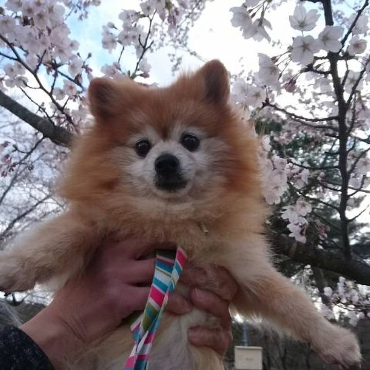 8eee117a be22 4c37 b4b2 076d3e66a9b9 1554973837361