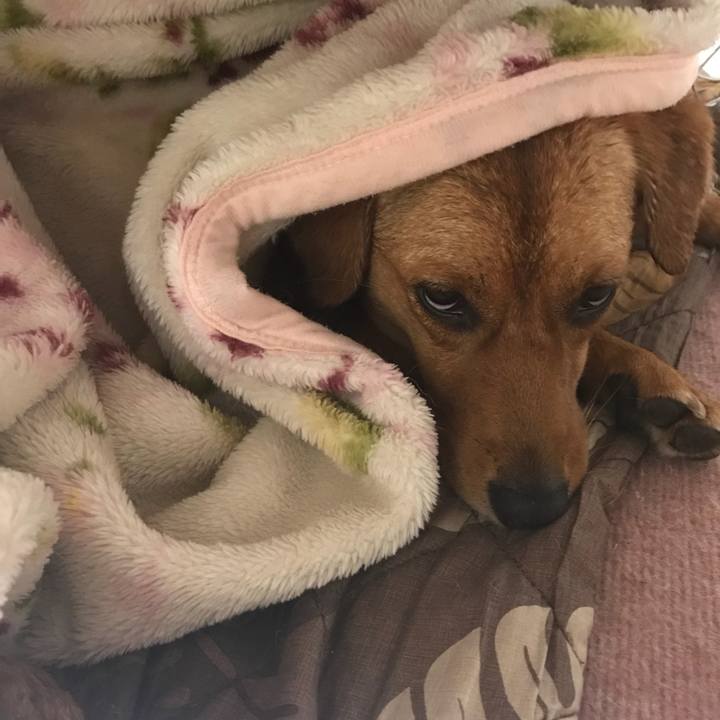 8eee4507 22a4 4280 8576 cb8c56aaac43 1535849858860