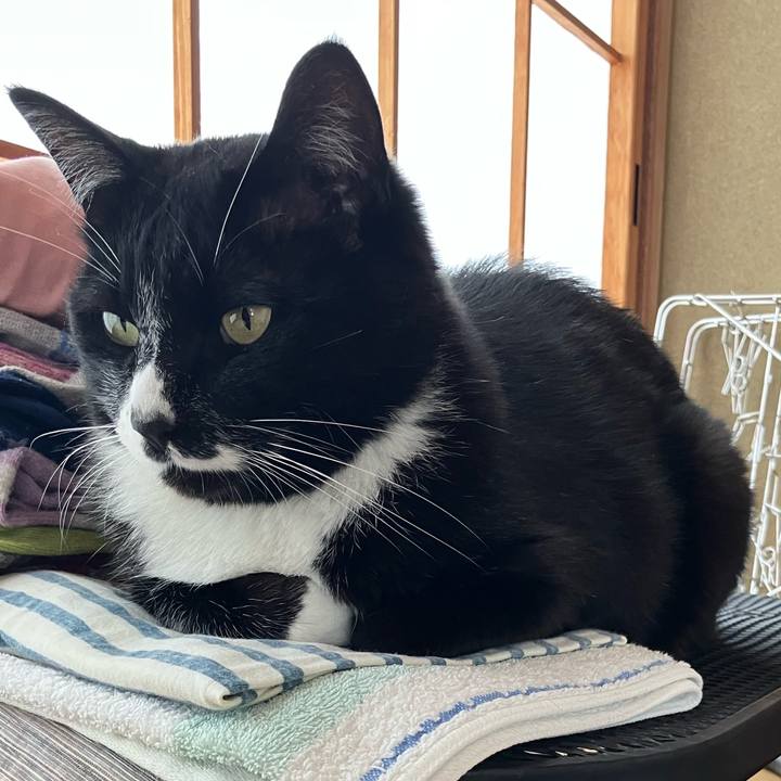 8eee6738 178e 40a4 a332 9e759a548ded 1752741858649