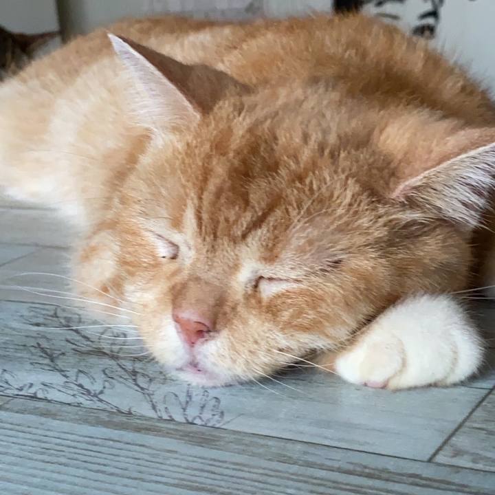 8eee74a2 d91d 4959 bb9a 6260b8b9d1cf 1595466638712