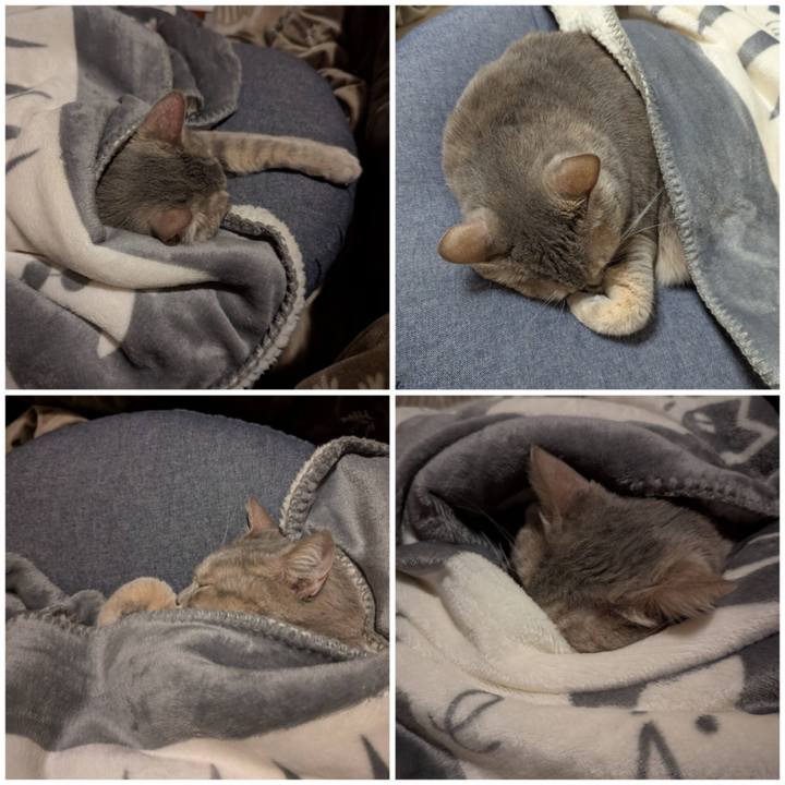 8eee75ad a012 4932 8b72 268c42650c35 1766127699268