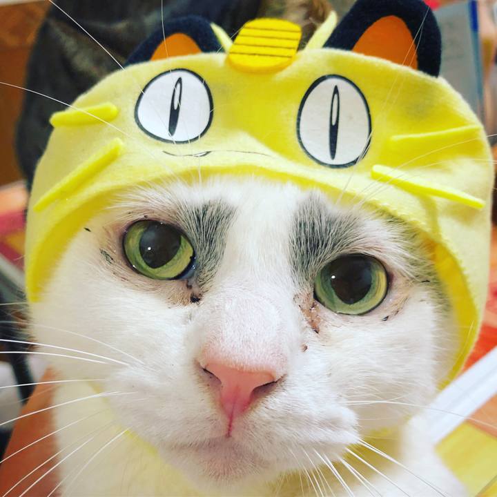 8eeeaa7c 5b1a 45a0 b90c 48b2fced6833 1548115901838