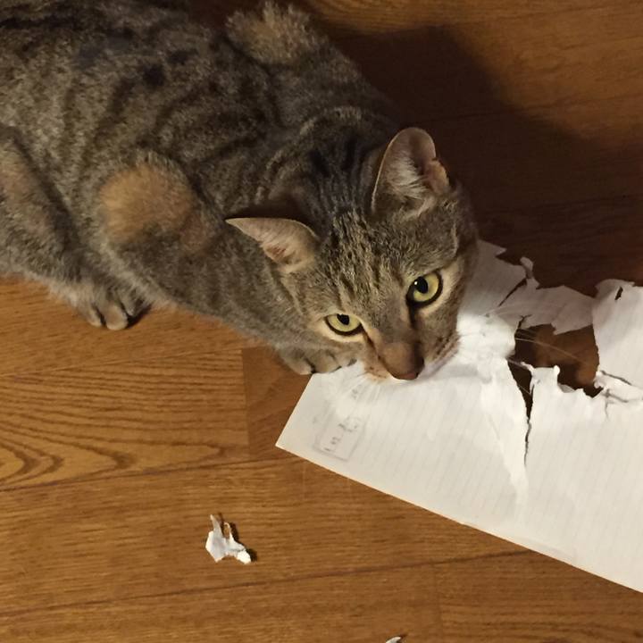 8eeef7c8 30ec 4eac a2c4 bdcdd4507c4d 1517313366462