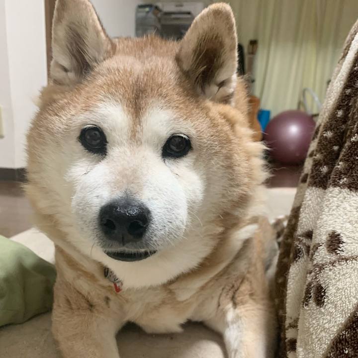 8eef2a85 6c64 4cfd a173 eefec6151359 1615373493363