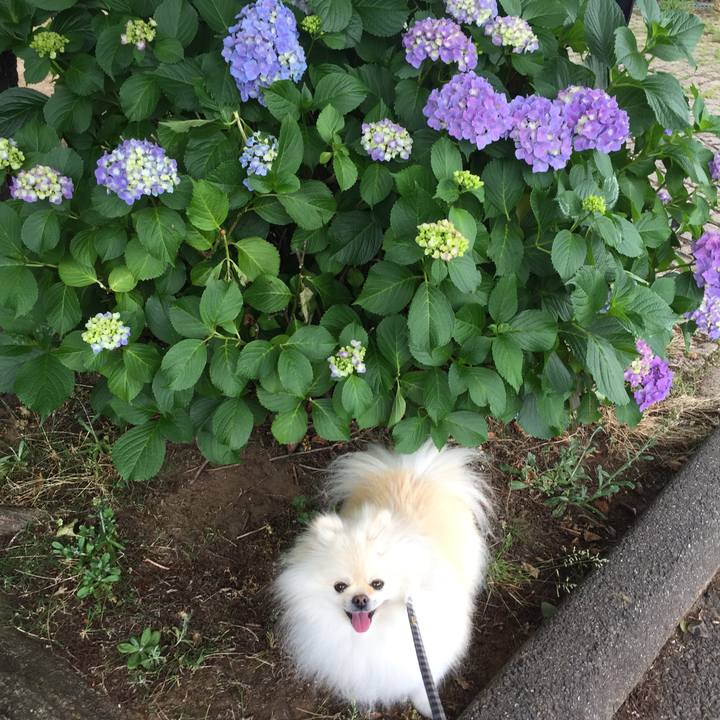 8eef3041 ad39 4e13 a63b 963fcde797b2 1591238453202