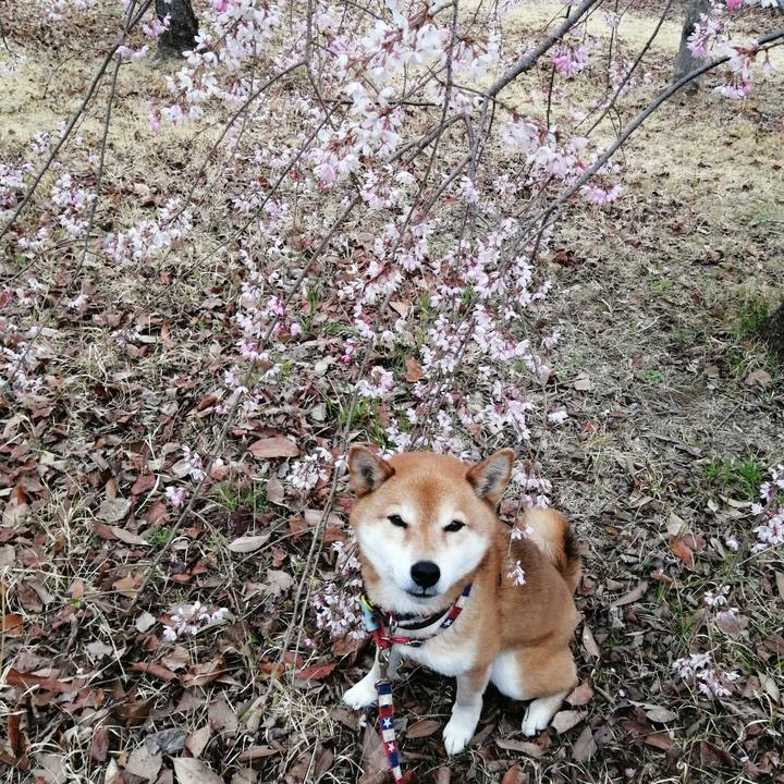 8eef3847 3cfc 41d9 bbd6 d443f8724de9 1679535589027