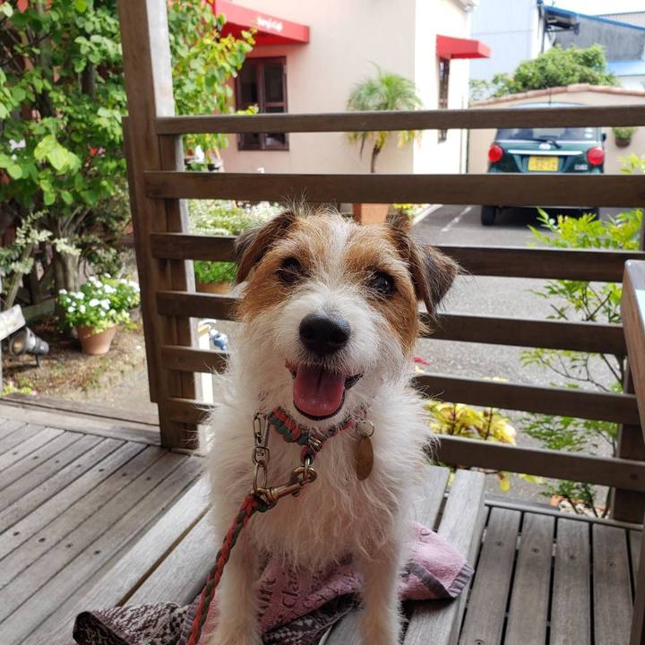 8eef4225 1070 4fe9 b161 dcf9697da944 1629954345416