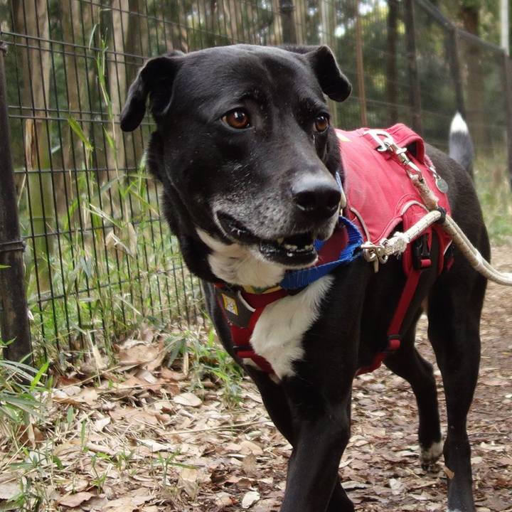 8eef91fc bfb3 420f 9ca3 180ddd4c4ba3 1680232562179