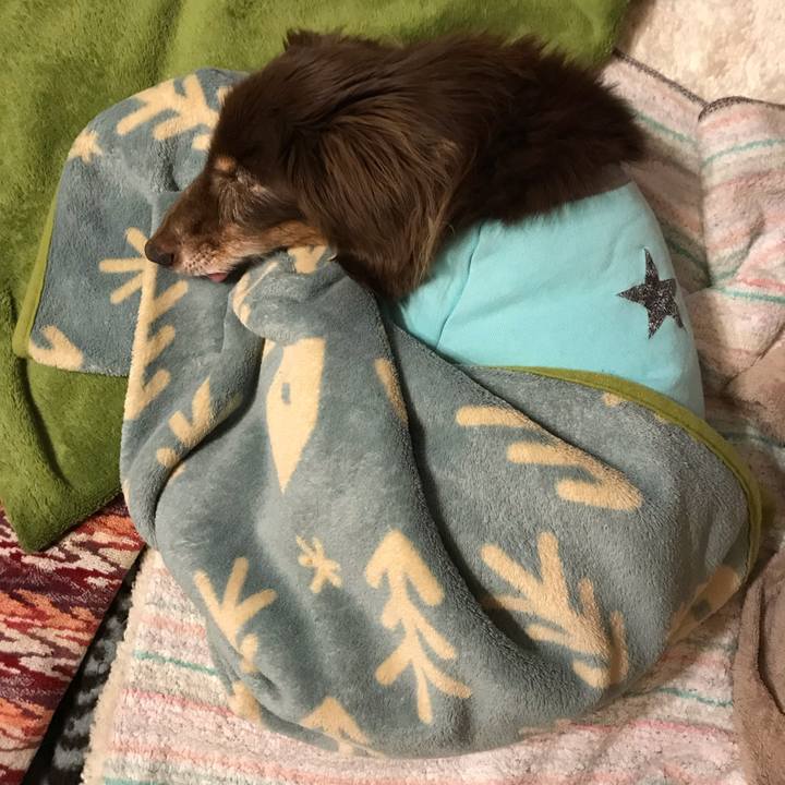 8eef9a4b 76a5 4d92 9253 fbcf873f4f77 1551568715486