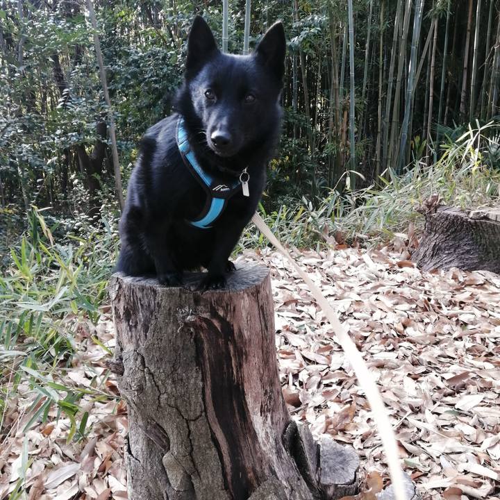 8eefa0a2 6490 4086 9eed f2c42776ce55 1640996444082