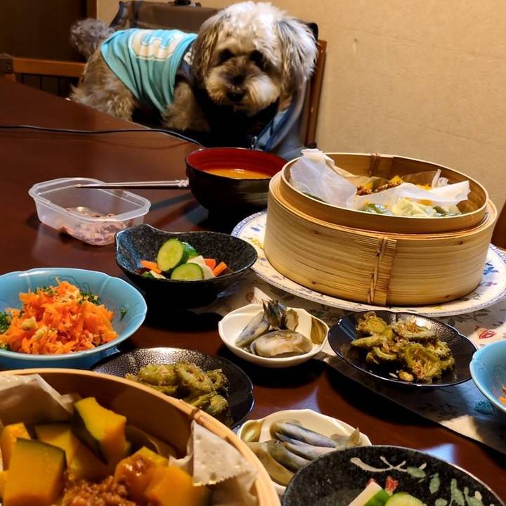 8ef00665 c690 48b4 b4a2 a9b1a0fe5973 1754829107213