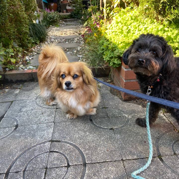 8ef03ed6 ef98 4732 8340 3d06edef98a5 1583886903137