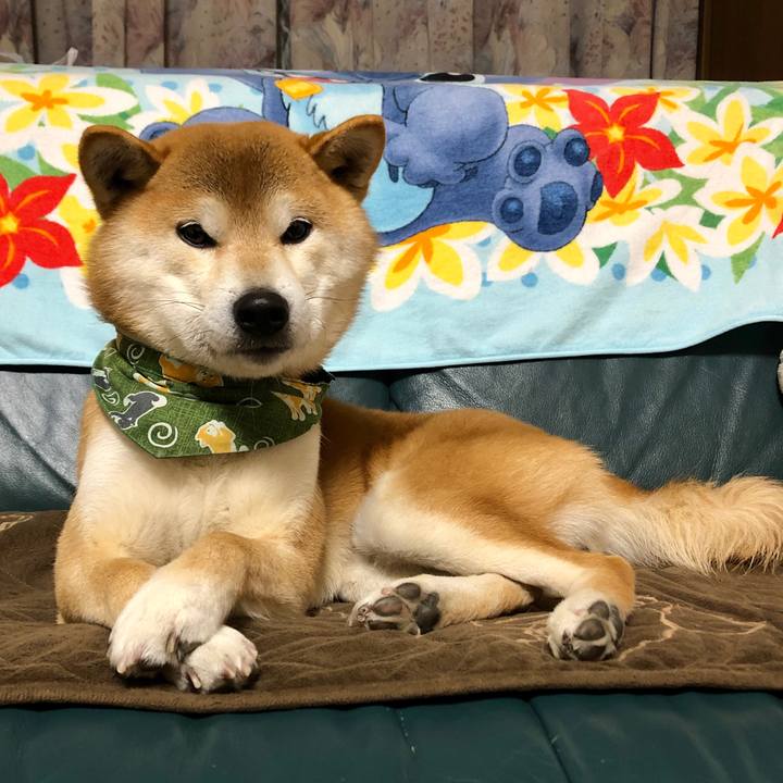 8ef04136 b711 40e0 a52e ed82b74f8ddd 1547375481353