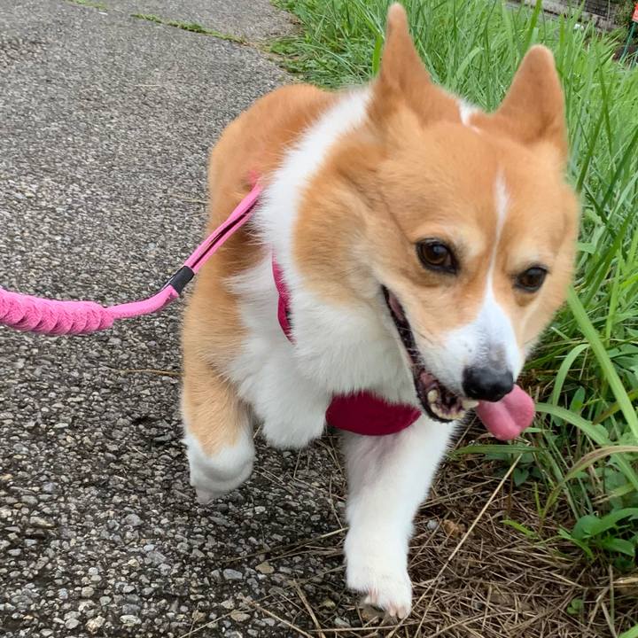 8ef05025 0d00 49f6 abe2 69c9e70c17b2 1625116279774