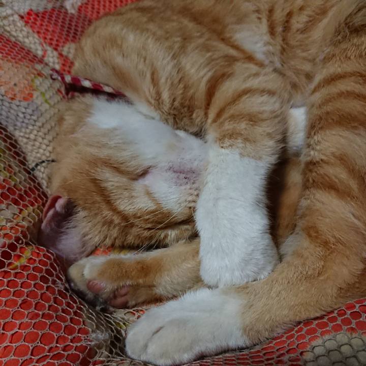 8ef07f3a 9634 4cd0 8f4f b3cfa2fea9c2 1560603756114