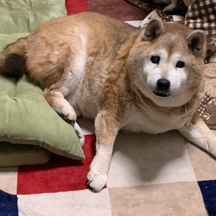 8ef09304 7828 4c29 9699 ede284a5f959 1648635123448